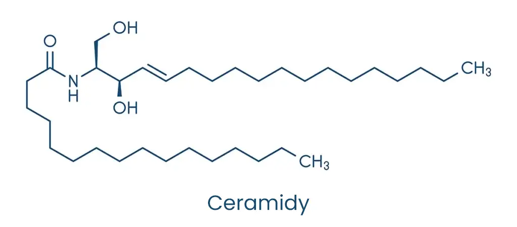 Wzór chemiczny ceramid