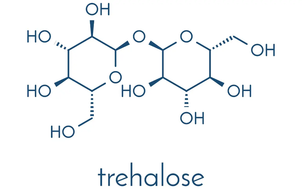 Budowa chemiczna trehalozy